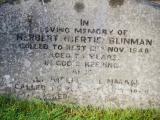 image of grave number 971572